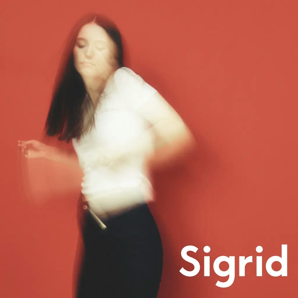 Album artwork for The Hype by Sigrid