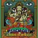 Album artwork for Magical Mystery Psychout - Tribute To The Beatles  by Various Artists