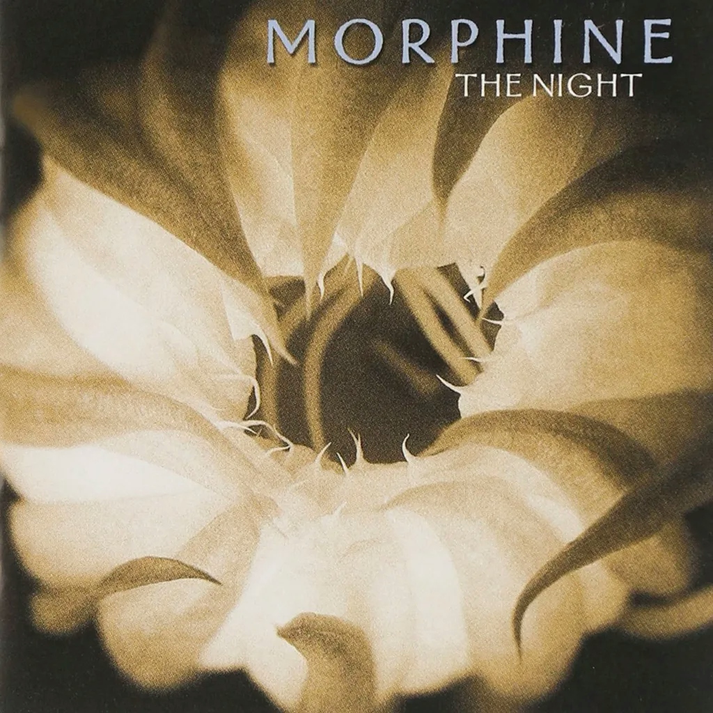Album artwork for Album artwork for The Night by Morphine by The Night - Morphine