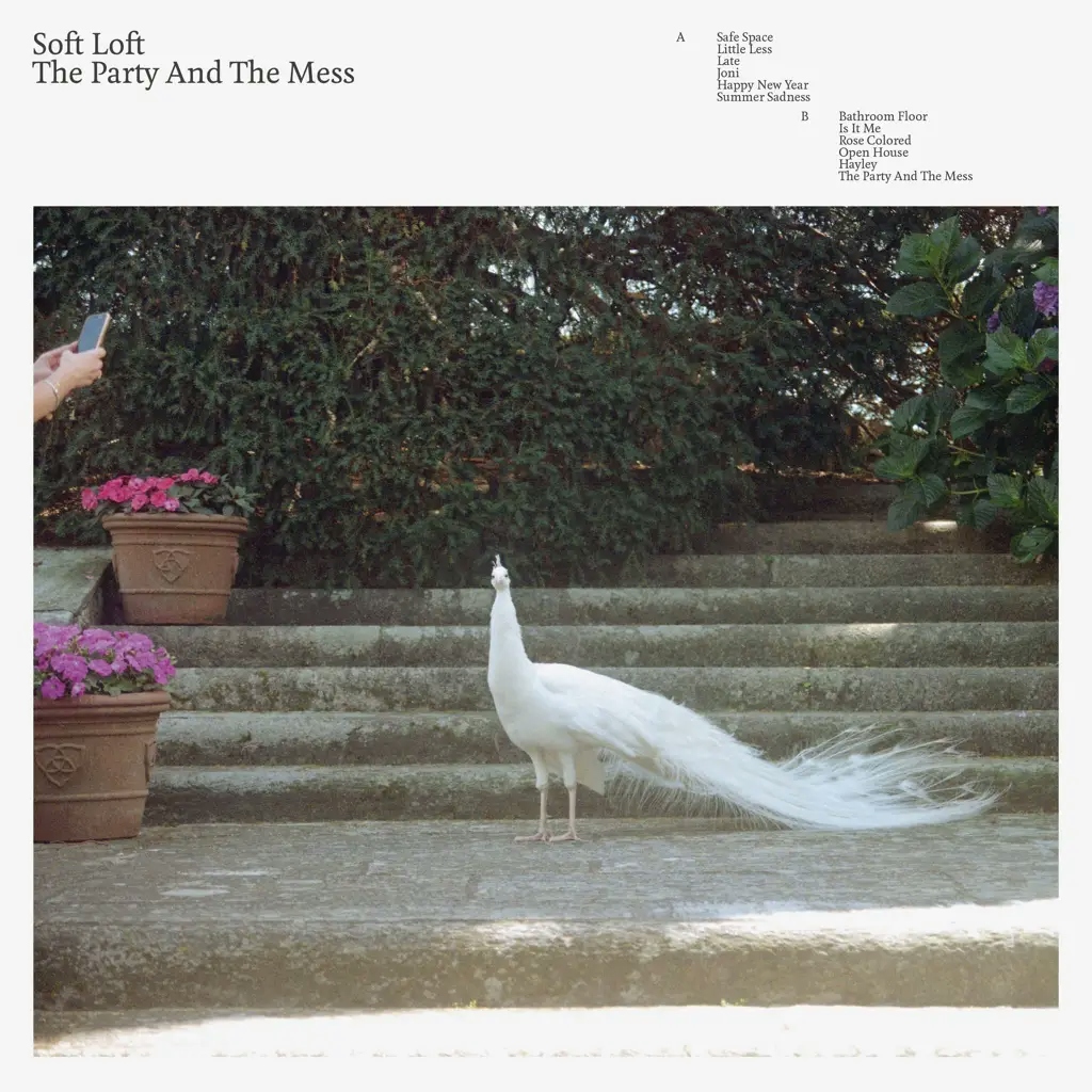 Album artwork for The Party And The Mess by Soft Loft