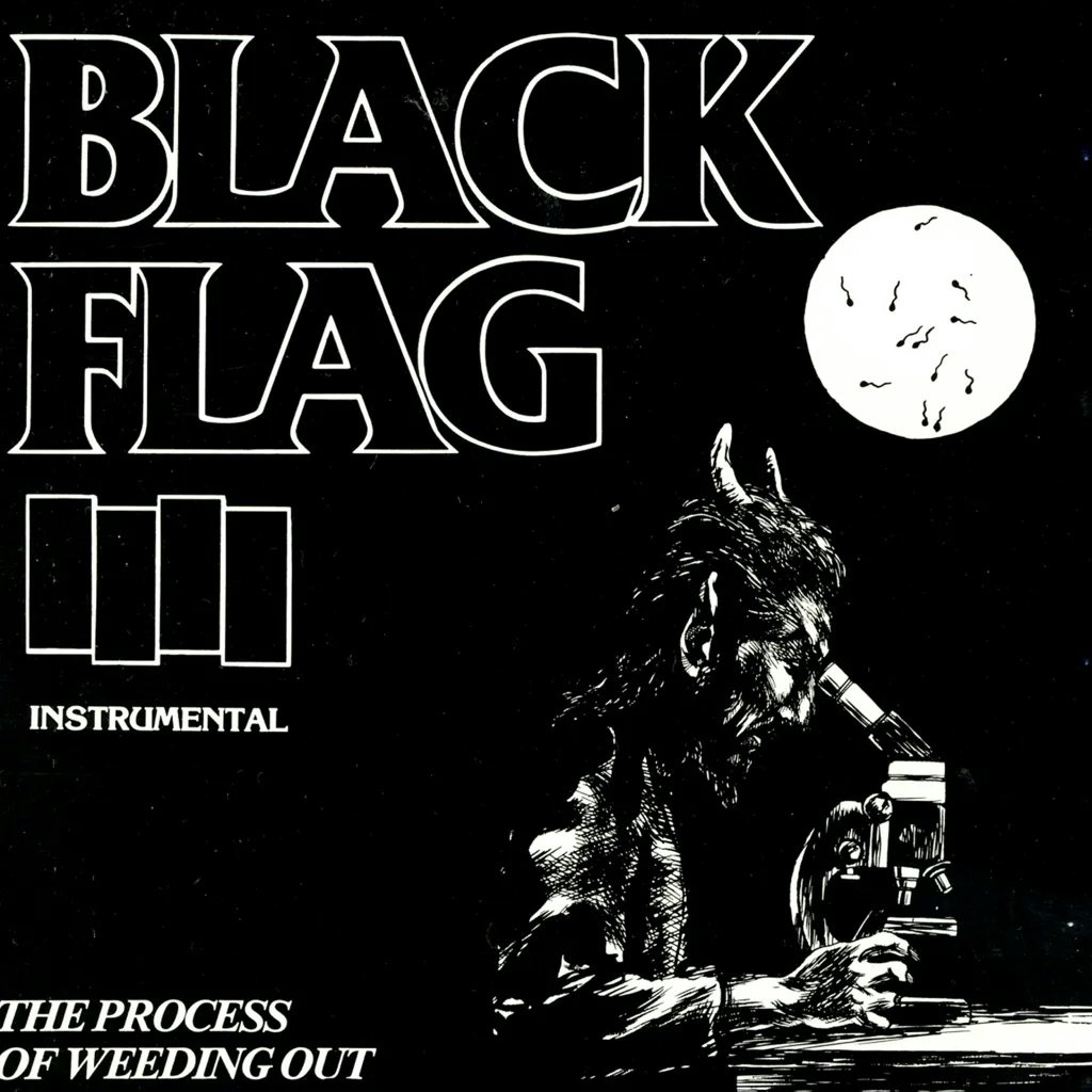 Album artwork for The Process Of Weeding Out by Black Flag