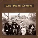 Album artwork for Southern Harmony & Musical Companion by The Black Crowes