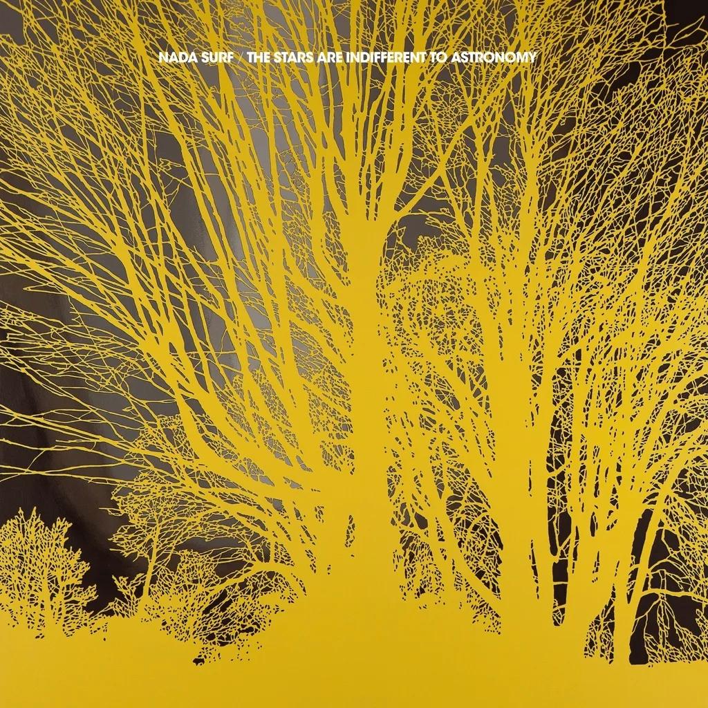 Album artwork for The Stars Are Indifferent To Astronomy by Nada Surf