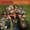 Album artwork for Things Eternal by Dan Wilson