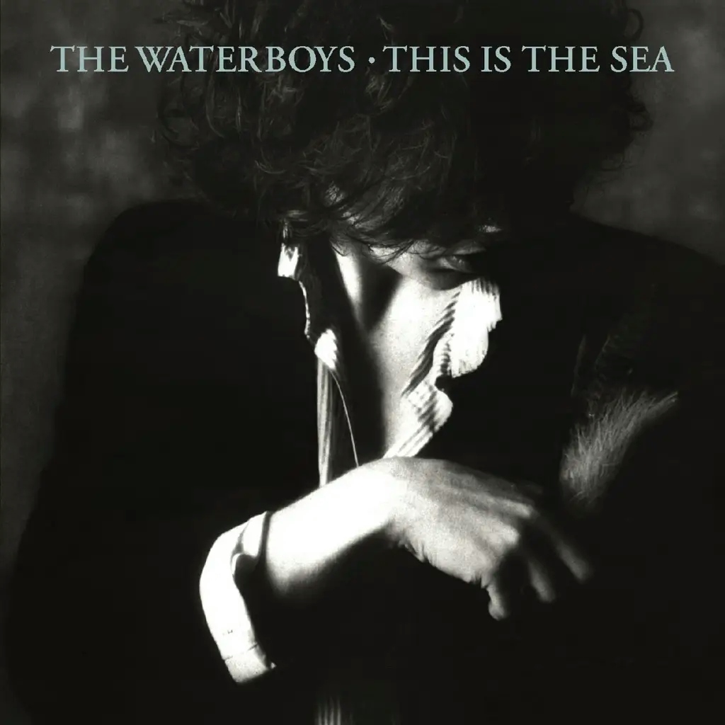 Album artwork for This is the Sea by The Waterboys