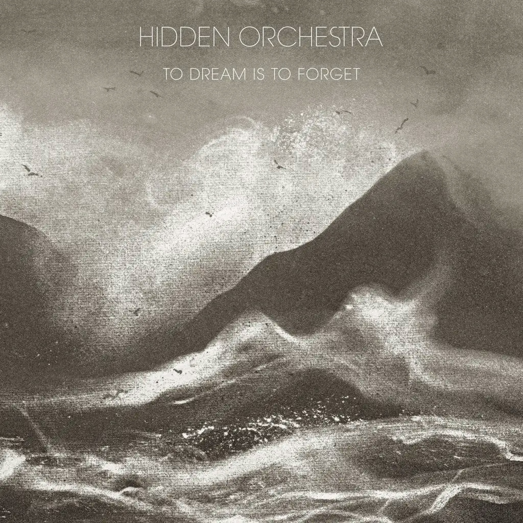 Album artwork for To Dream Is To Forget  by Hidden Orchestra