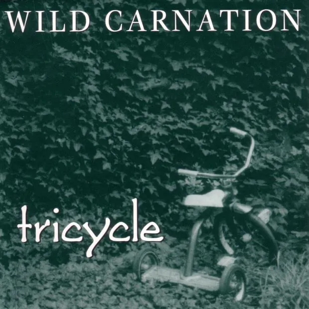 Album artwork for Tricycle by Wild Carnation