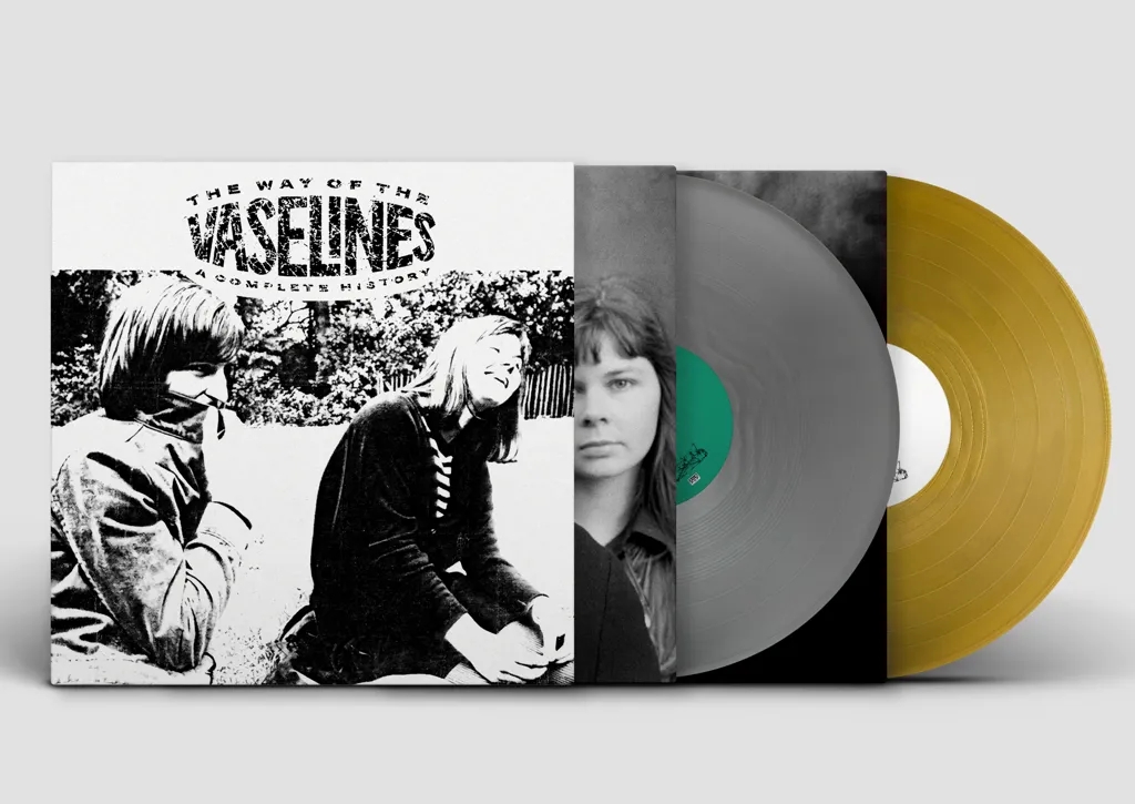 Album artwork for Album artwork for The Way of the Vaselines by The Vaselines by The Way of the Vaselines - The Vaselines