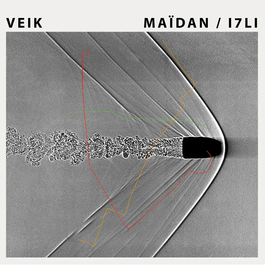 Album artwork for Maïdan/I7LI by Veik