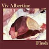 Album artwork for Flesh - RSD 2024 by Viv Albertine