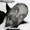 Album artwork for Animals by Kassa Overall