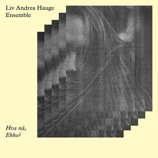Album artwork for Hva na, Ekko? by Liv Andrea Hauge Ensemble
