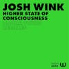 Album artwork for Higher State Of Consciousness (Adana Twins Remixes) by Josh Wink