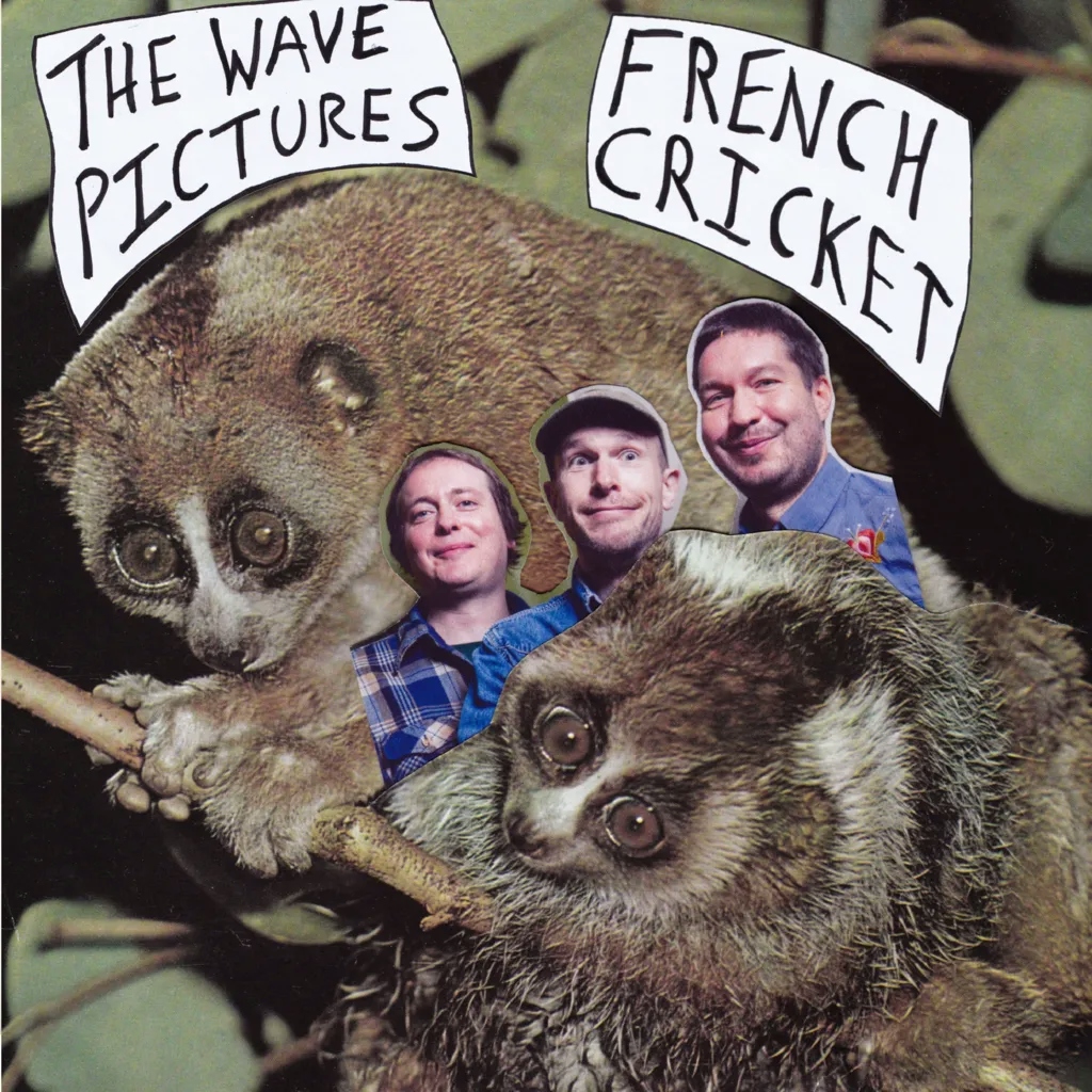 Album artwork for French Cricket by The Wave Pictures