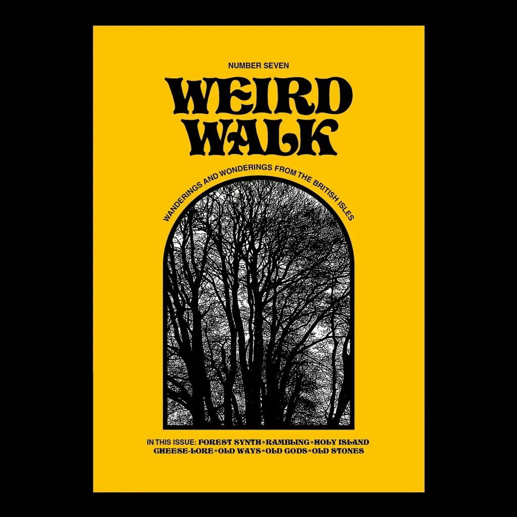 Album artwork for Issue Seven by Weird Walk