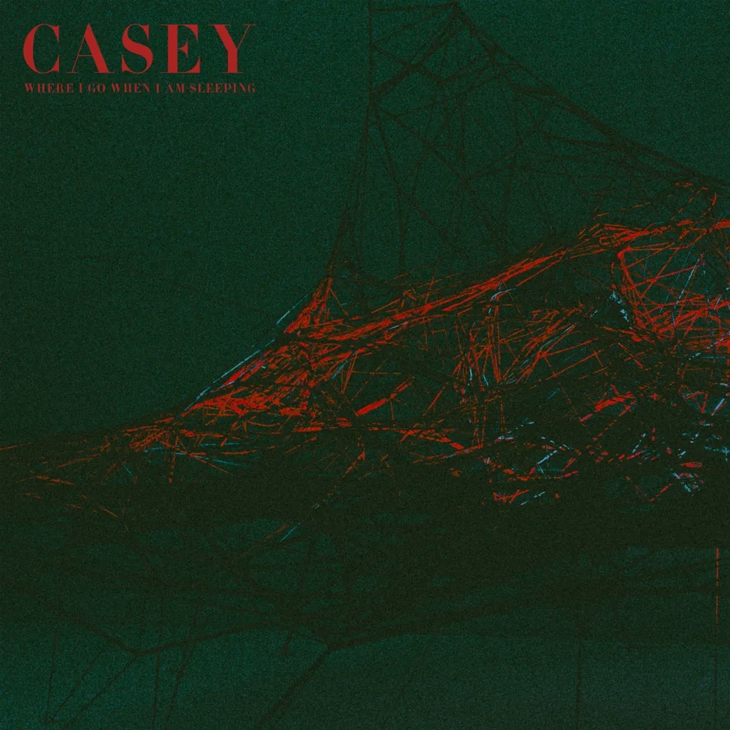 Album artwork for Where I Go When I Am Sleeping  by Casey