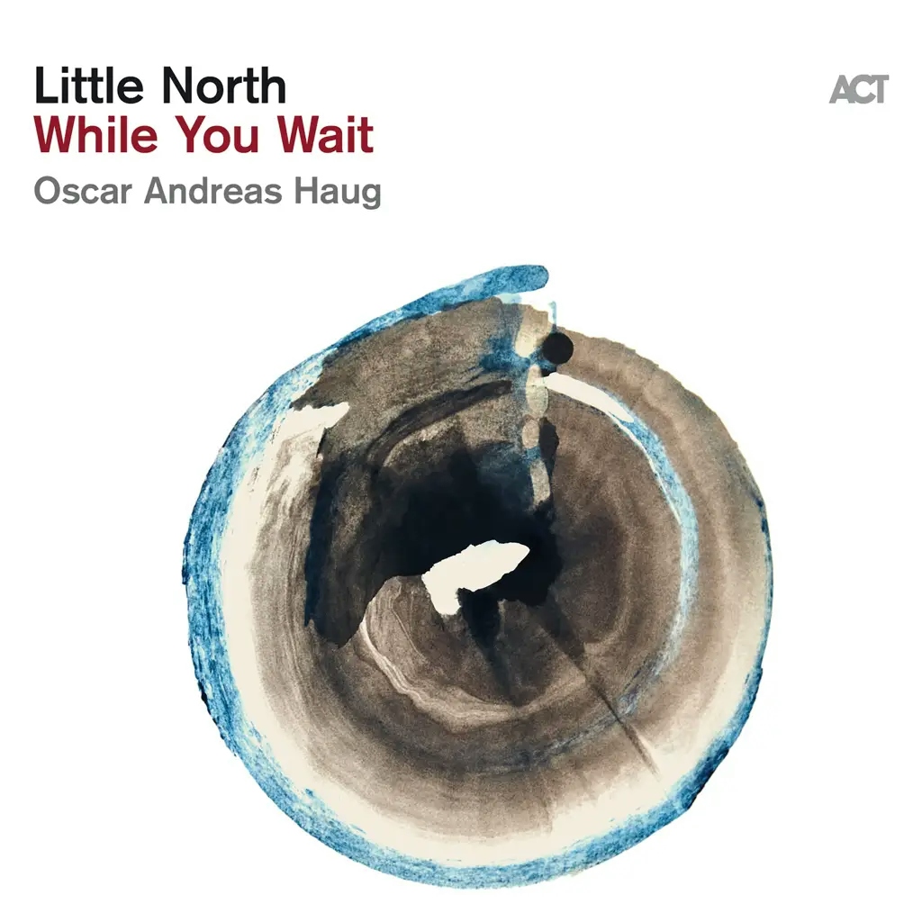 Album artwork for While You Wait by Little North