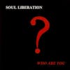 Album artwork for Who Are You? by Soul Liberation