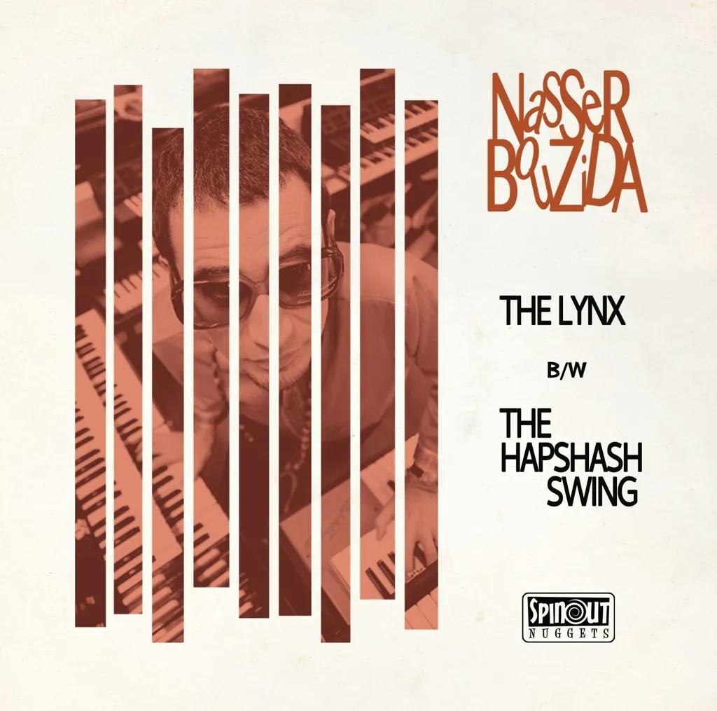 Album artwork for The Lynx / the Hapshash Swing by Nasser Bouzida