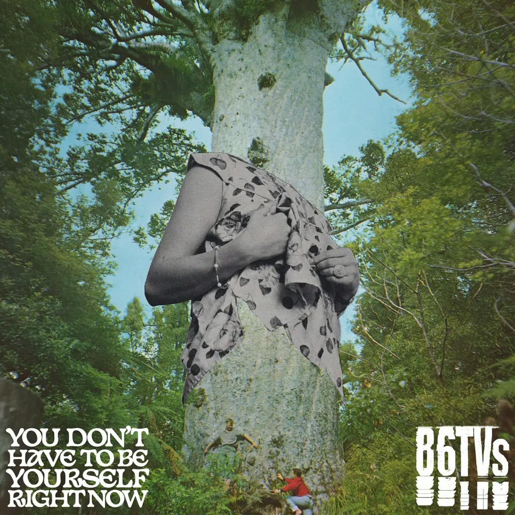 Album artwork for You Don't Have To Be Yourself - RSD 2024 by 86TVs