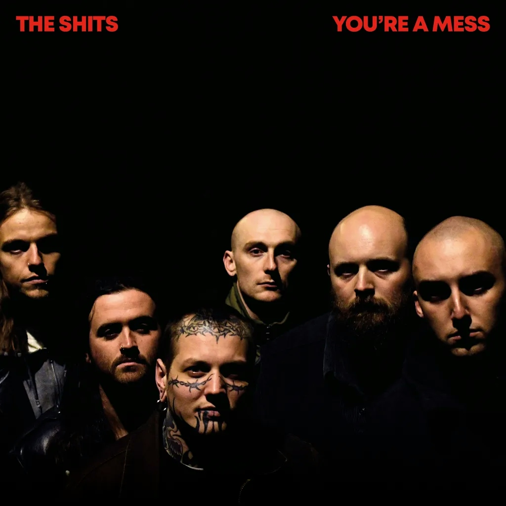 Album artwork for You're A Mess by The Shits