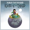 Album artwork for King of a Land by Cat Stevens