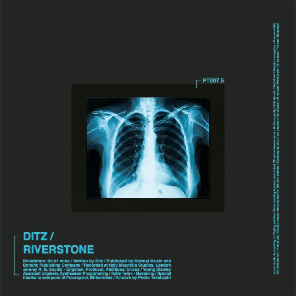 Album artwork for Riverstone by DITZ