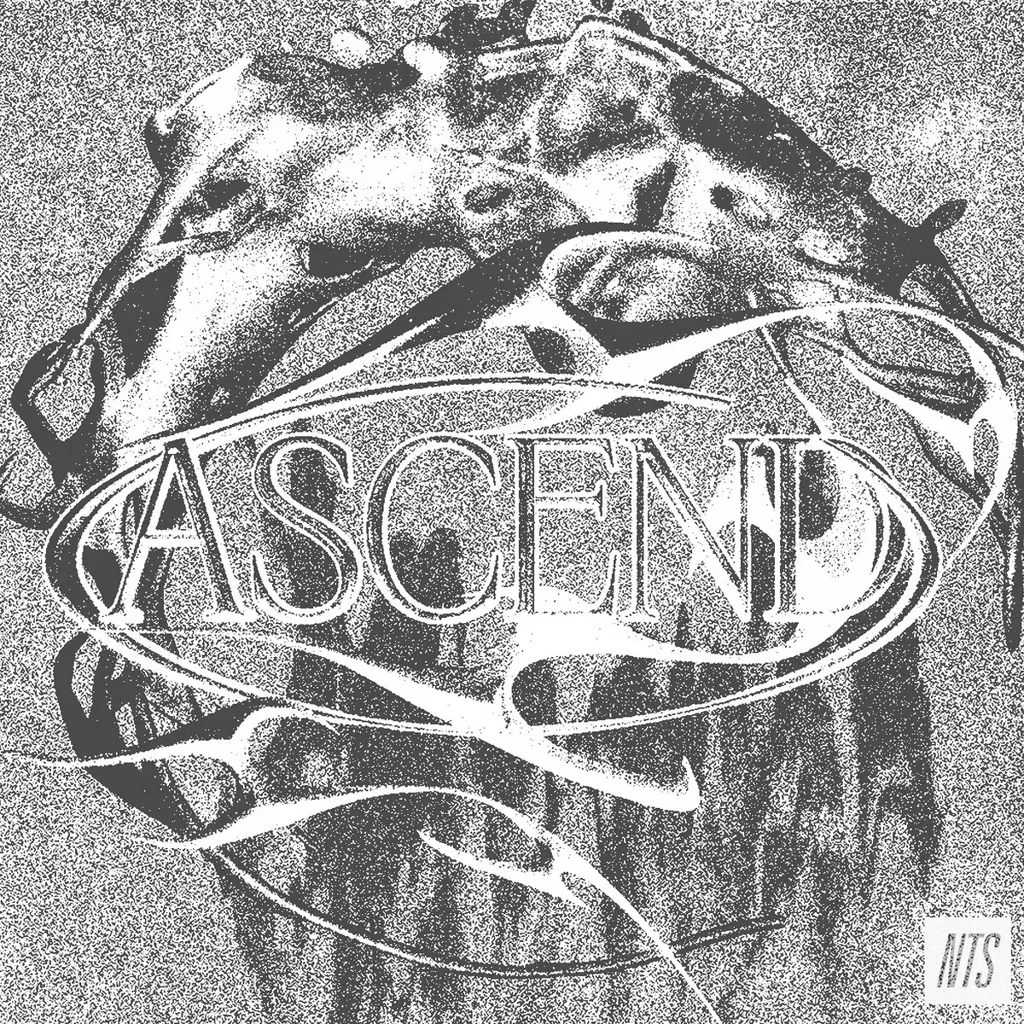 Album artwork for Ascend by Various Artist