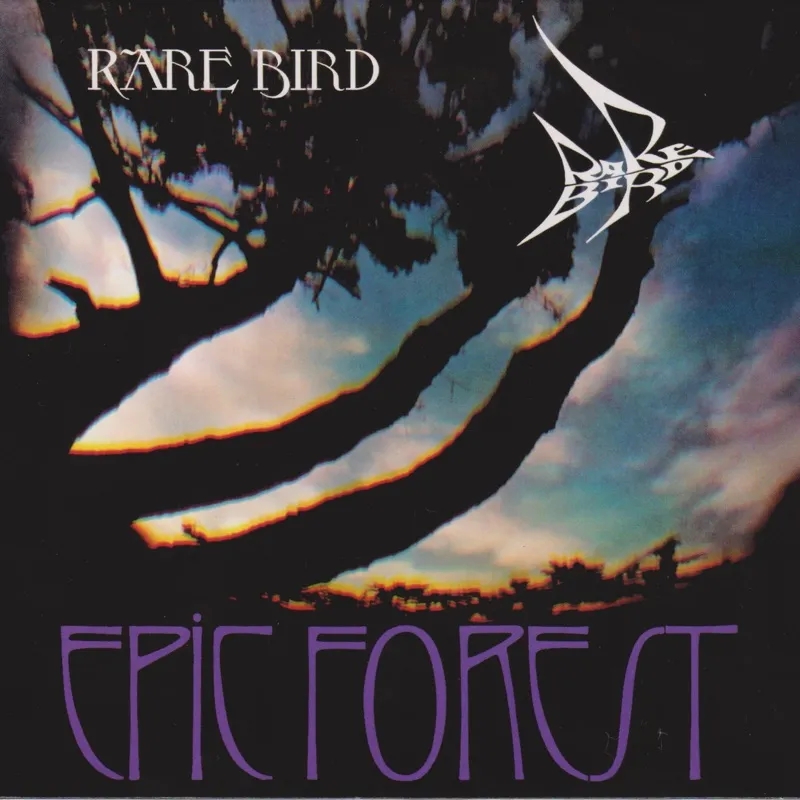 Album artwork for Epic Forest by Rare Bird