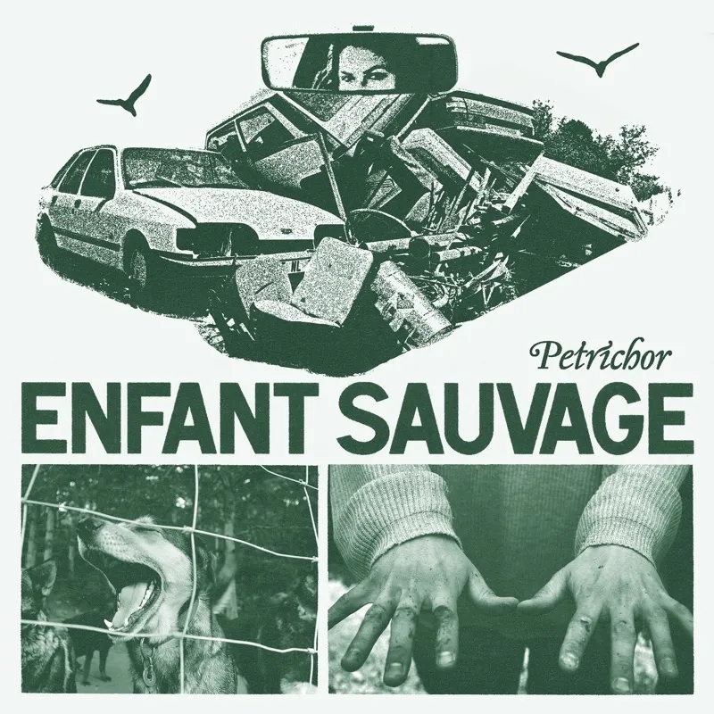 Album artwork for Petrichor by Enfant Sauvage