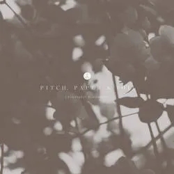 Album artwork for Pitch, Paper and Foil by Christopher Bissonnette