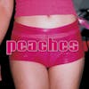 Album artwork for Teaches Of Peaches by Peaches