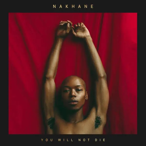 Album artwork for You Will Not Die by Nakhane