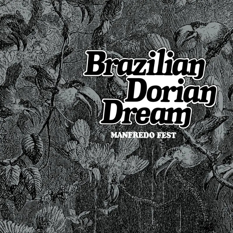 Album artwork for Brazilian Dorian Dream by Manfredo Fest 