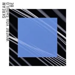 Album artwork for Where You Should Be Featuring Sam Frank - 12 Inch Two by Skream