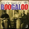 Album artwork for Big Ol' Bag of Boogaloo Vol. 1 by Various Artists
