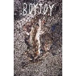 Album artwork for BoyToy by Boytoy