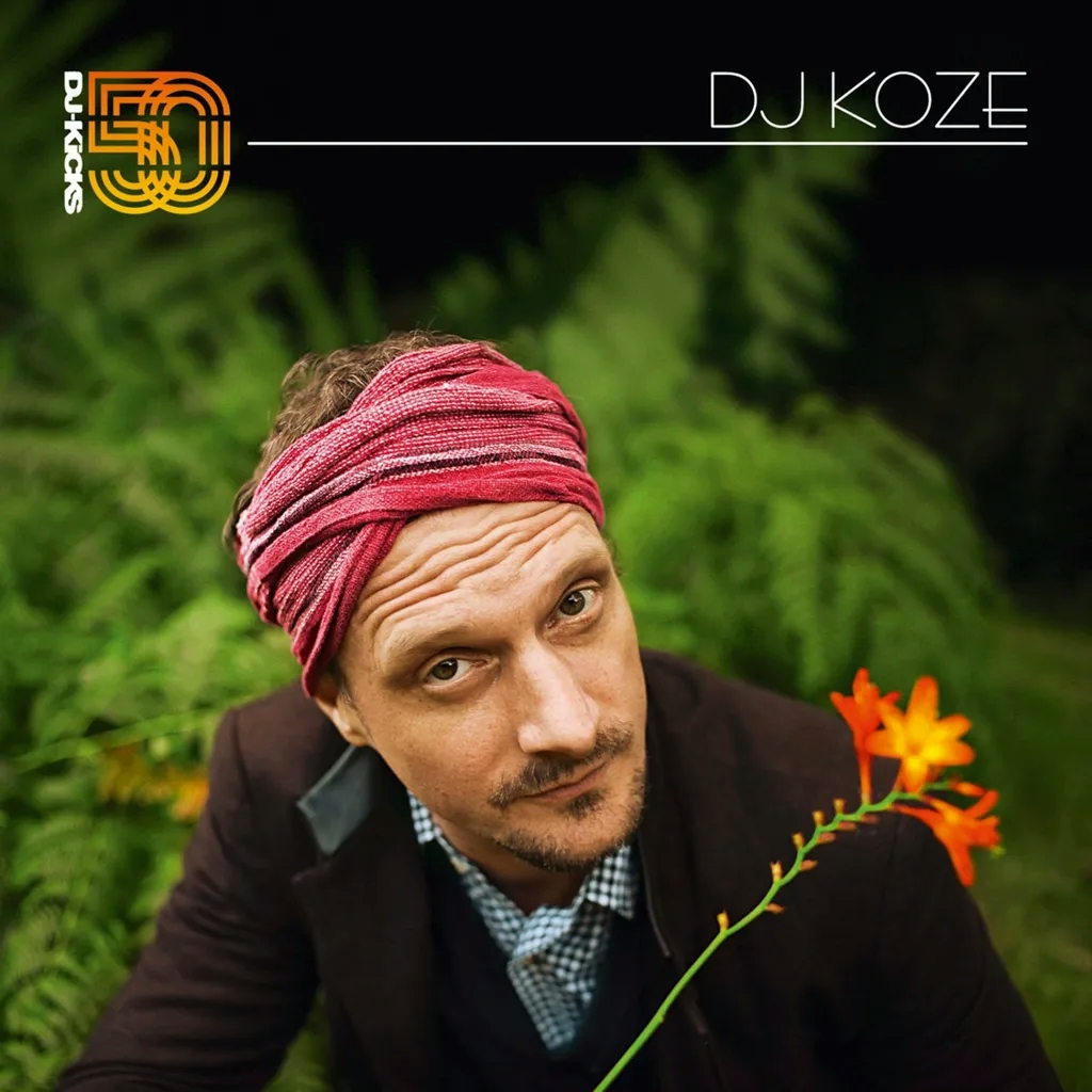 Album artwork for Dj Koze - DJ KIcks by Various