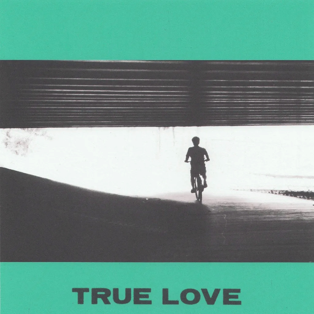 Album artwork for True Love by Hovvdy