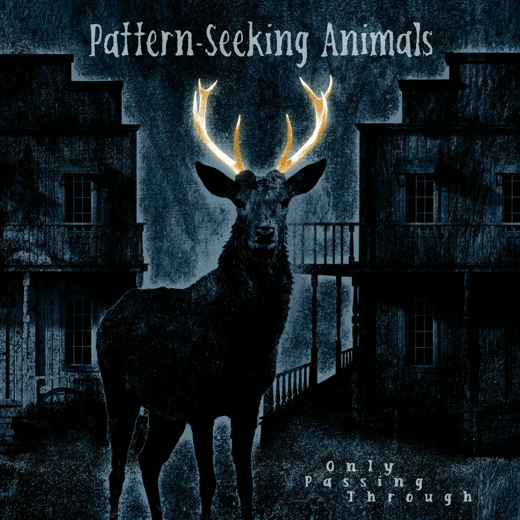Album artwork for Only Passing Through by Pattern Seeking Animals