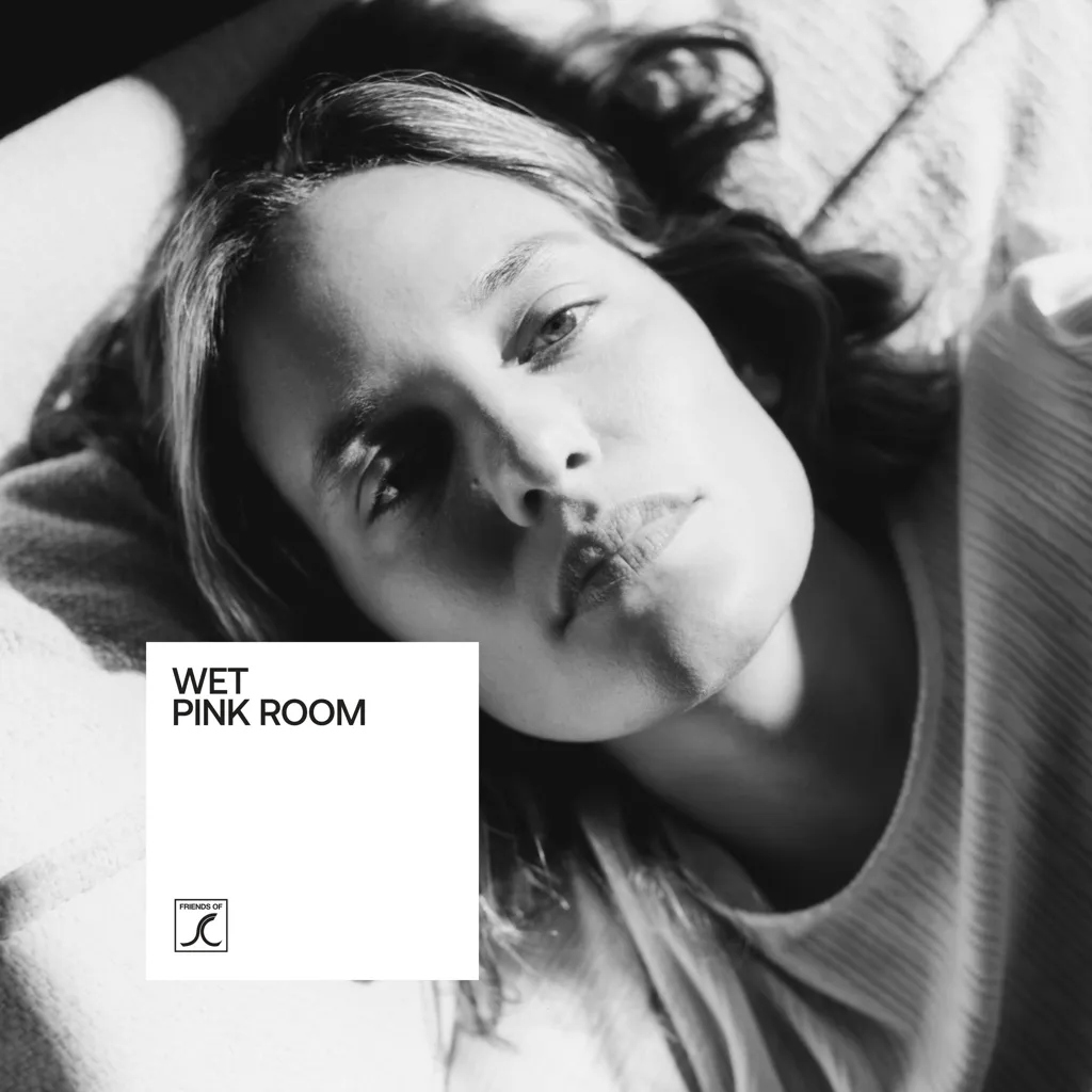 Album artwork for Pink Room by Wet