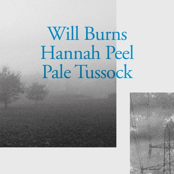 Album artwork for Pale Tussock by Will Burns and Hannah Peel