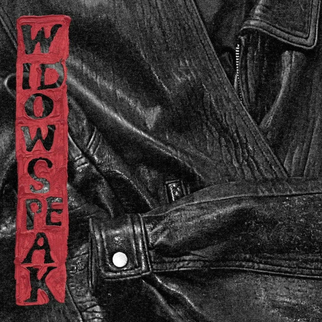 Album artwork for The Jacket by Widowspeak