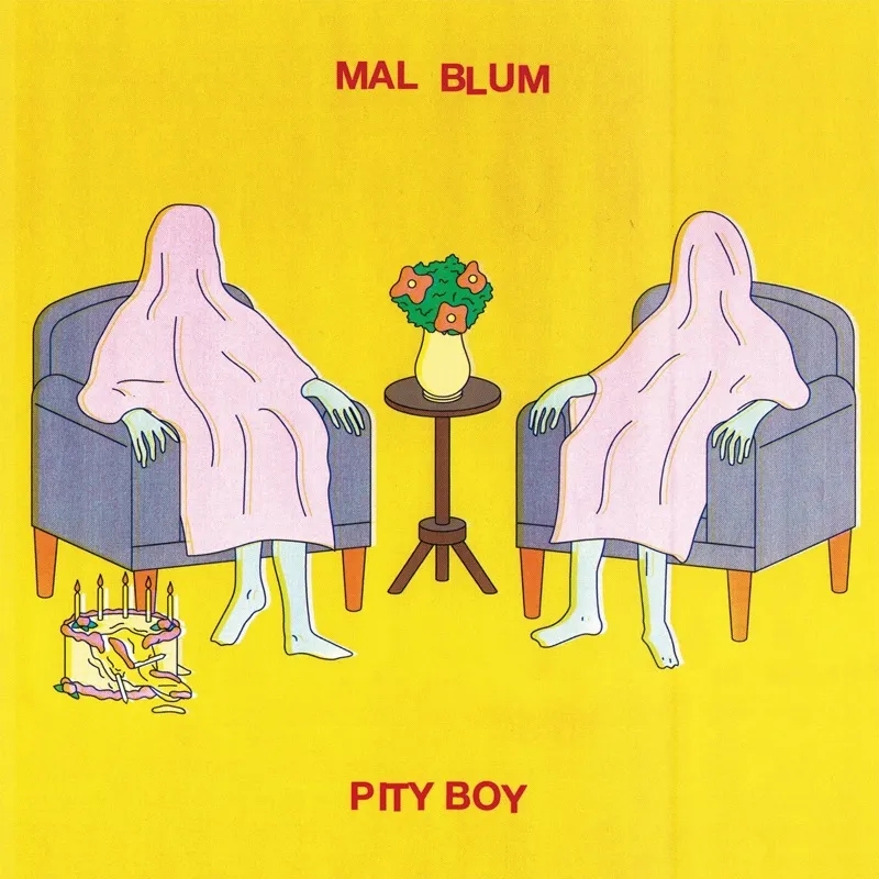 Album artwork for Pity Boy by Mal Blum