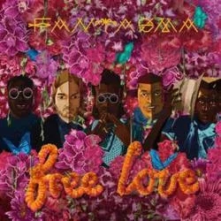 Album artwork for Free Love by Fantasma
