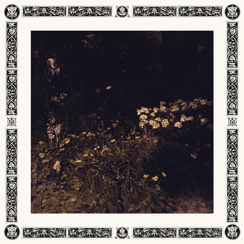 Album artwork for Pale Bloom by Sarah Davachi