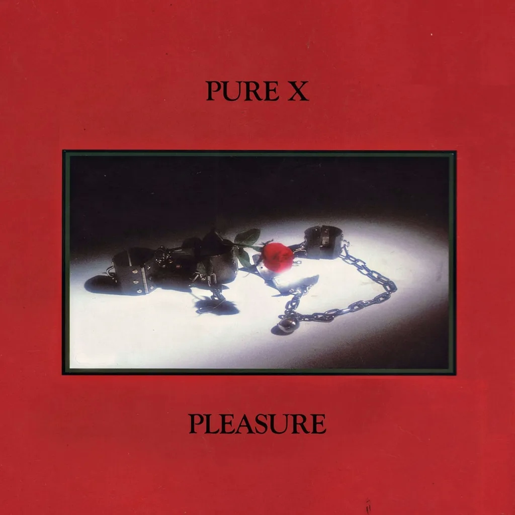 Album artwork for Pleasure by Pure X