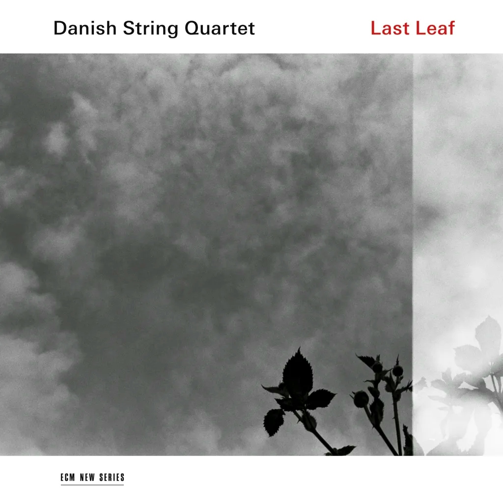 Album artwork for Last Leaf by Danish String Quartet