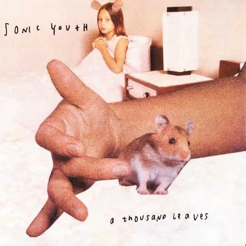 Album artwork for A Thousand Leaves by Sonic Youth