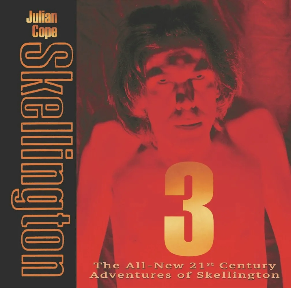 Album artwork for Skellington 3 by Julian Cope